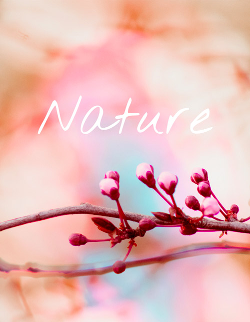 Photos de nature