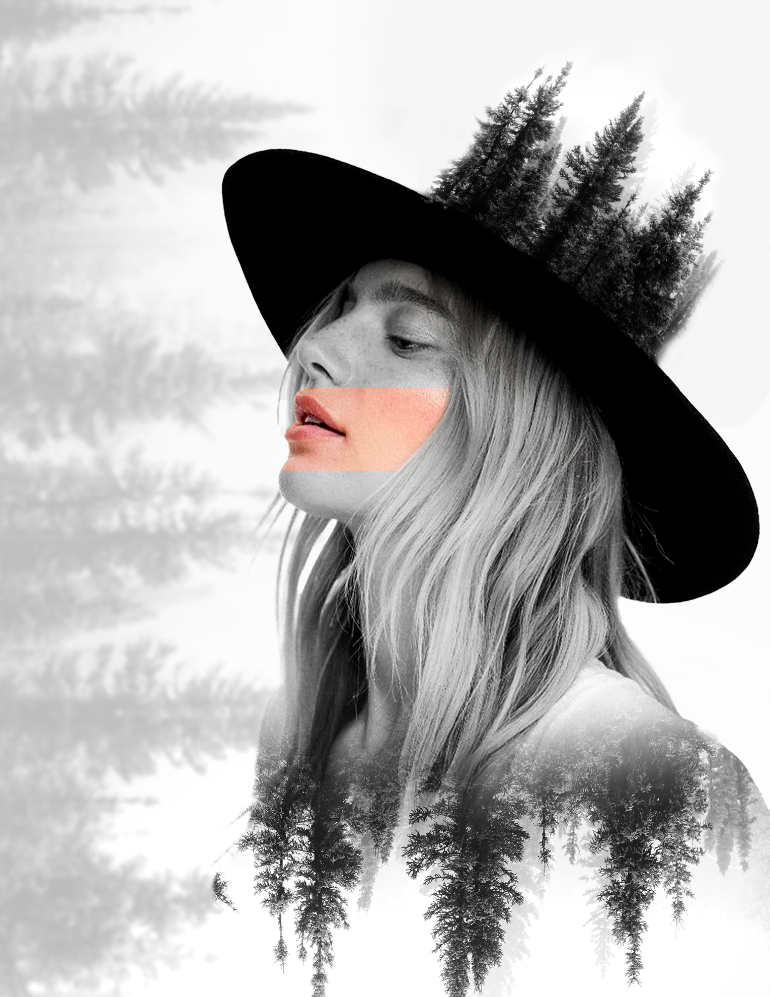 Montage Photo 